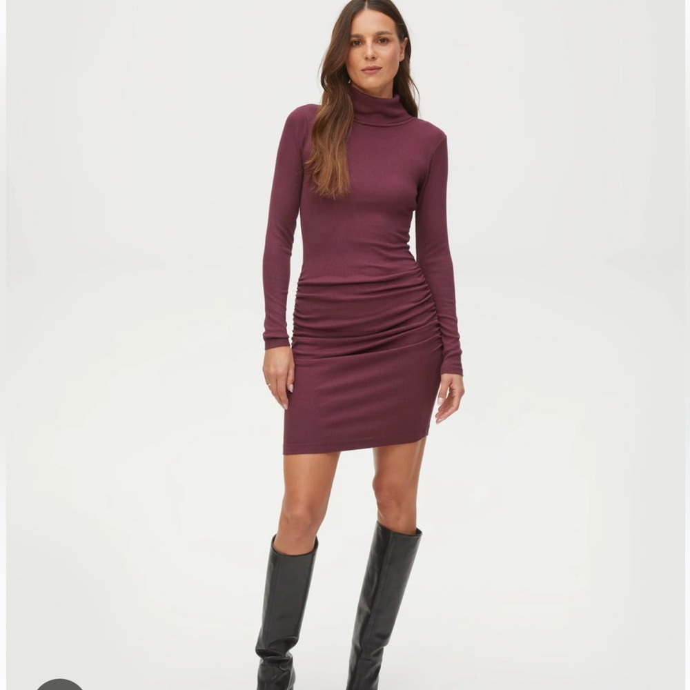 NWOT MICHAEL STARS VELMA TURTLENECK DRESS